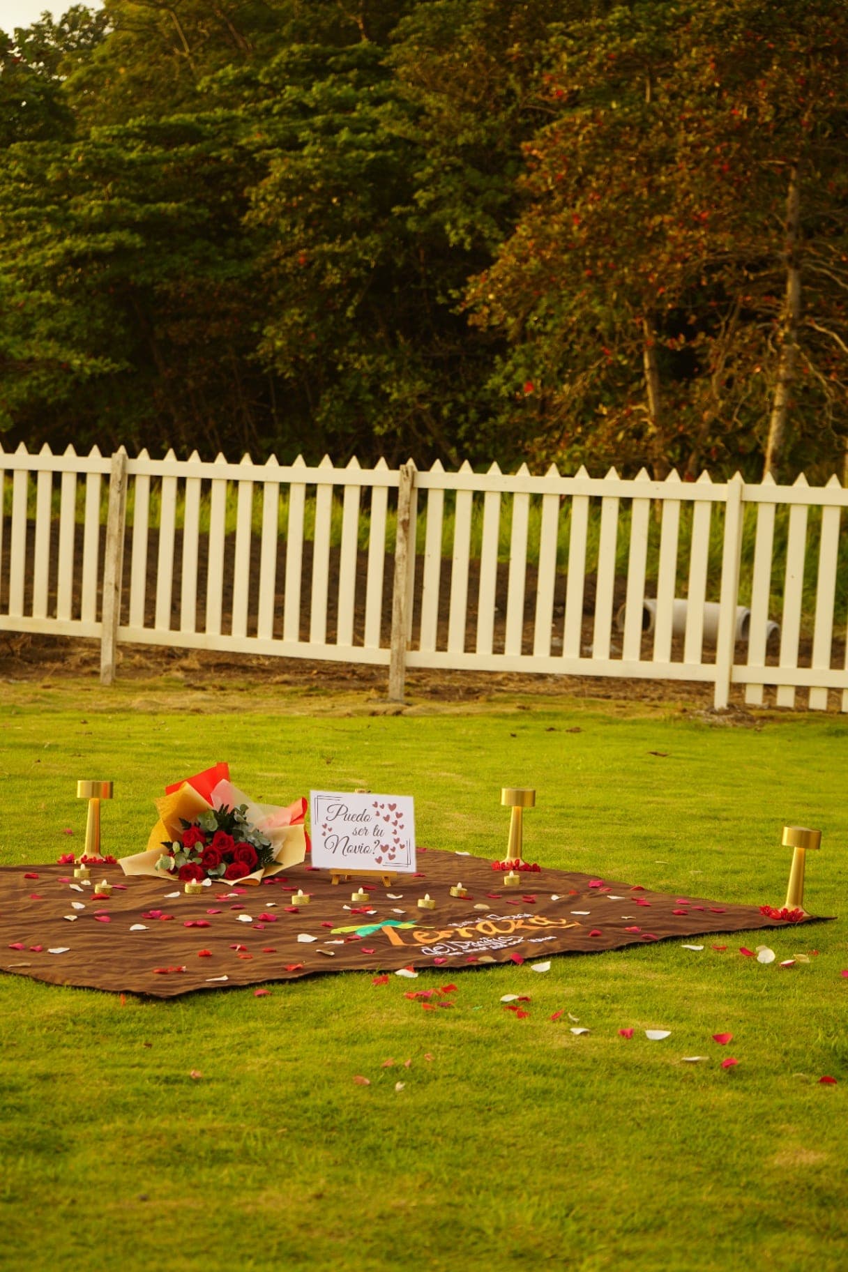 Family Celebrations — image 7