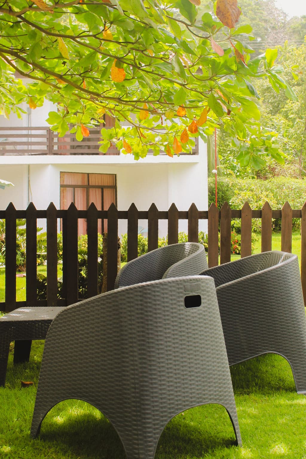 Natural setting around the resort