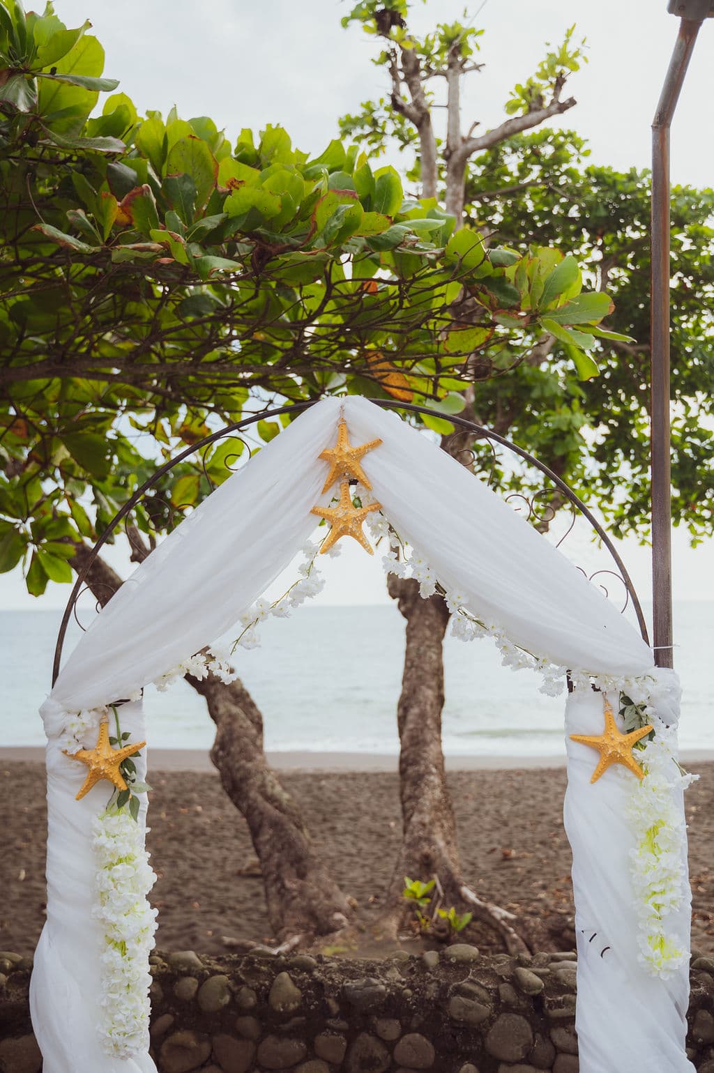 Draped arch with gold starfish and florals