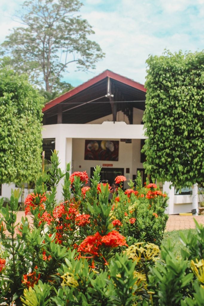 Flores en el jardín del hotel