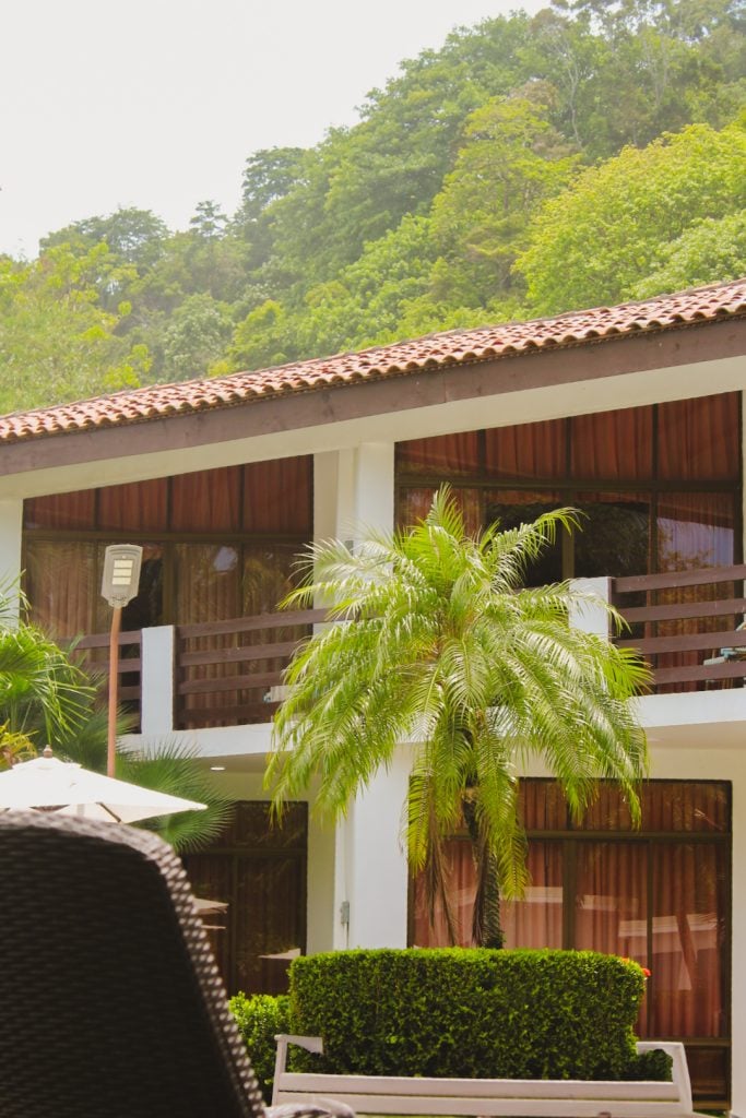 Palmeras entre los edificios