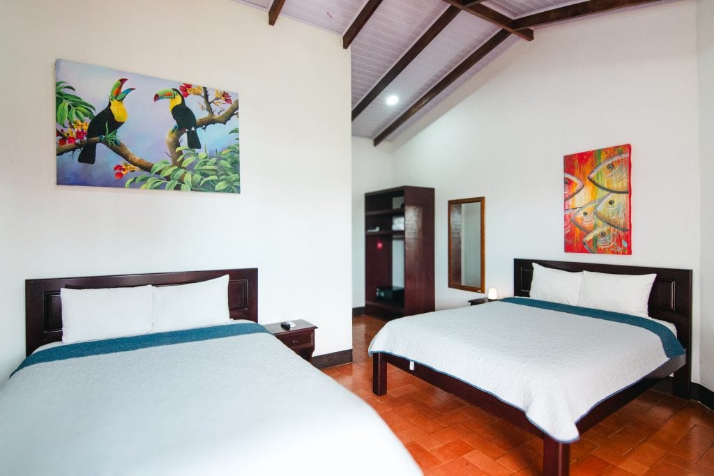 Superior Room with two beds and a toucan painting on the wall