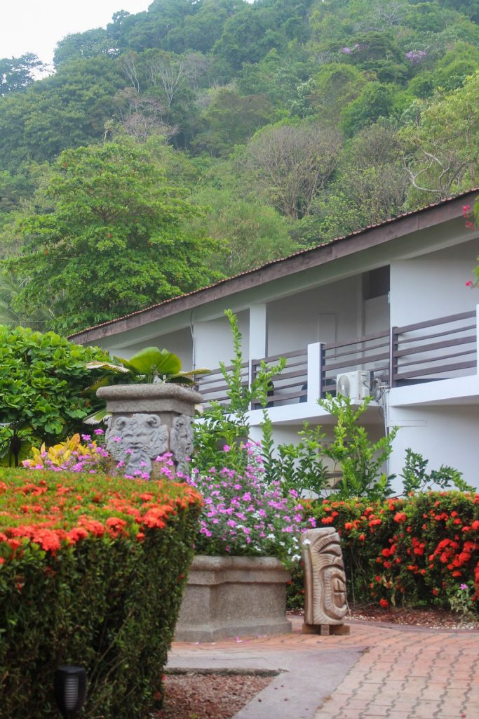 Vegetacion del hotel