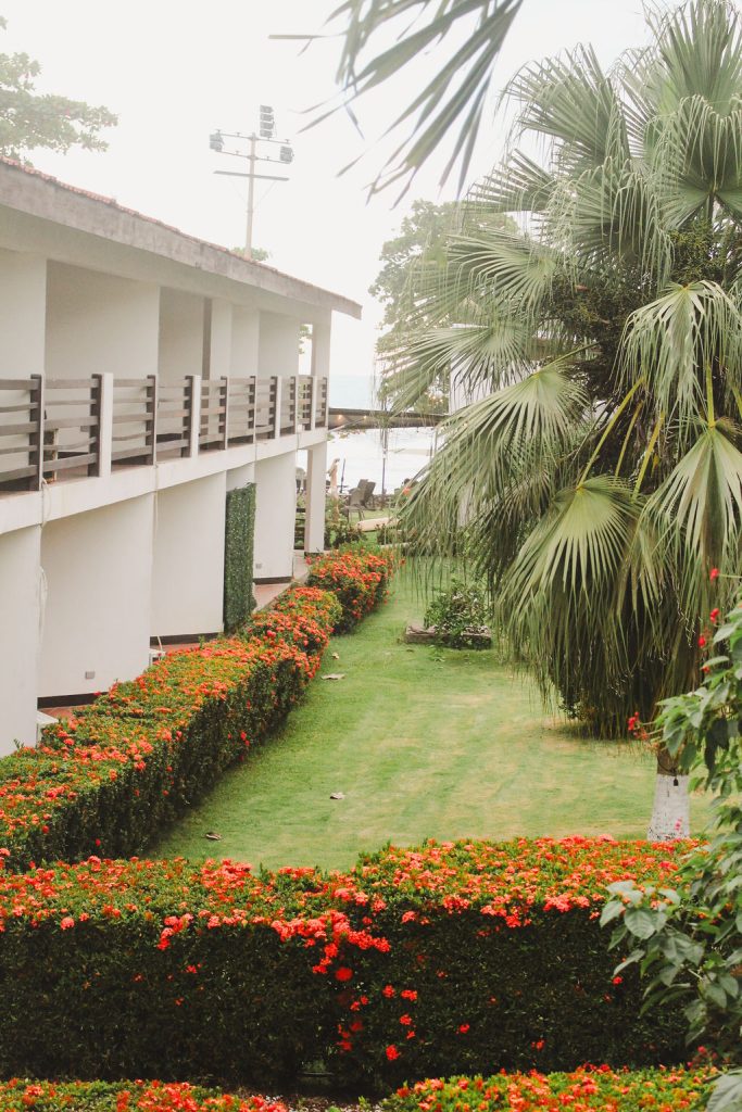 Detalle del jardín